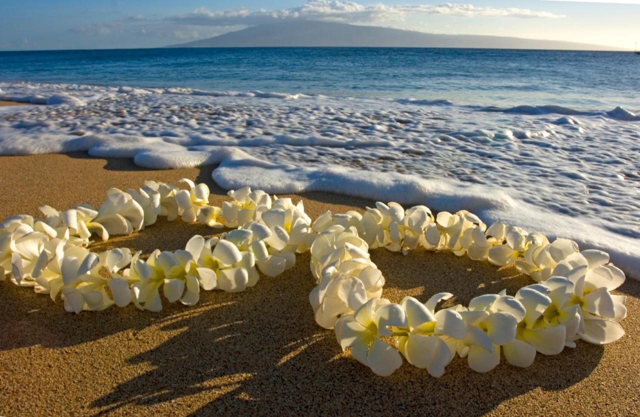Deluxe Living In Waikiki - Ocean View With Parking Apartment